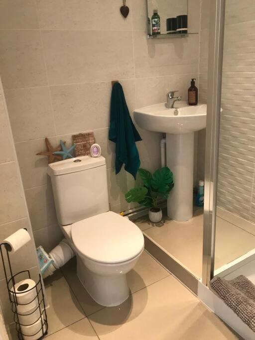 Caldey View Apartment Tenby Exterior foto